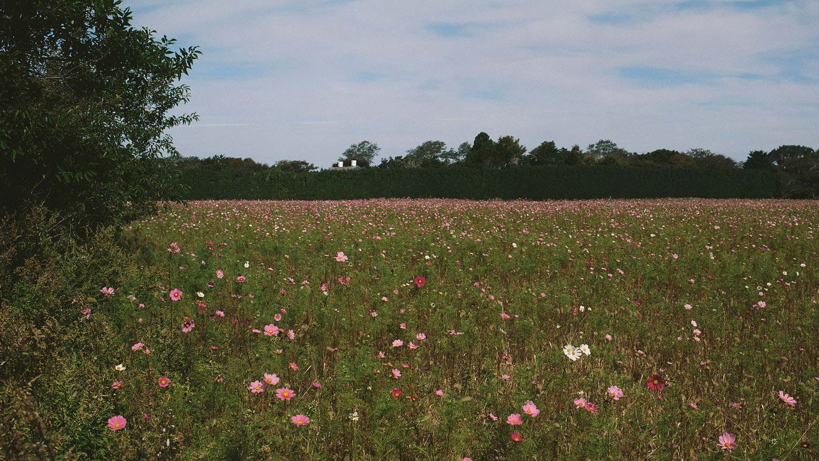 BooUrns Farm For All Seasons