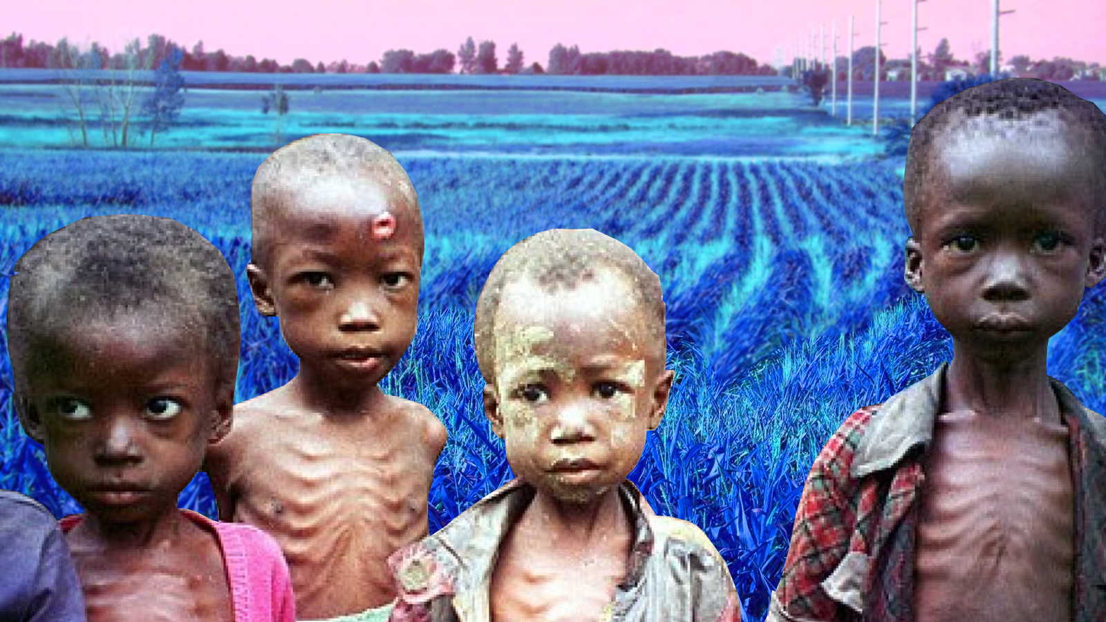 CORN ISLAND REFUGEES