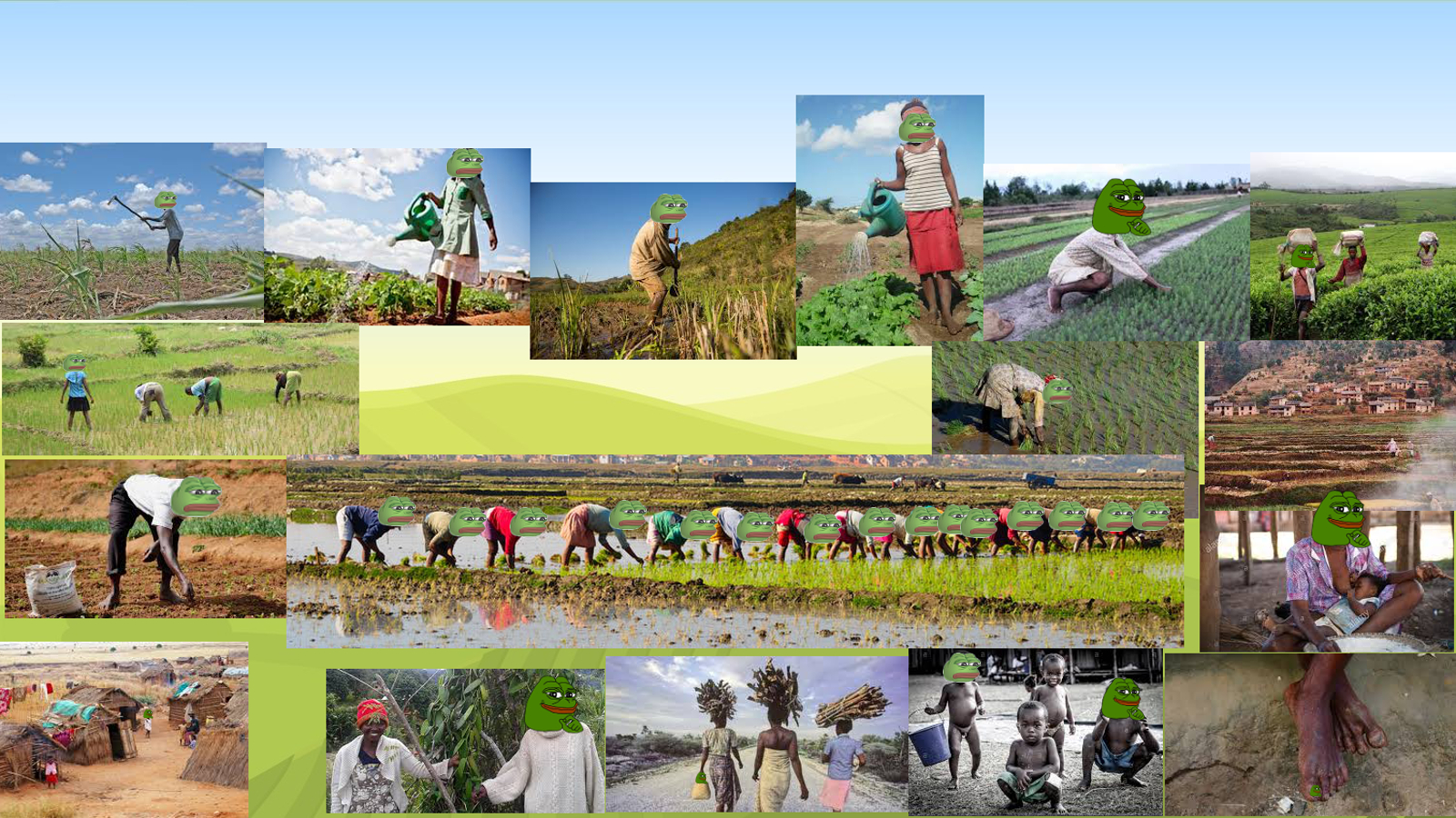 Pepe Farm