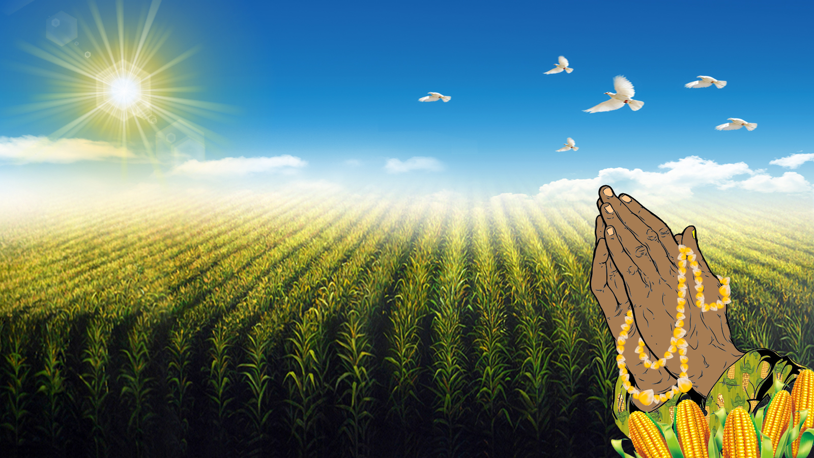 Prayer Farm TBD