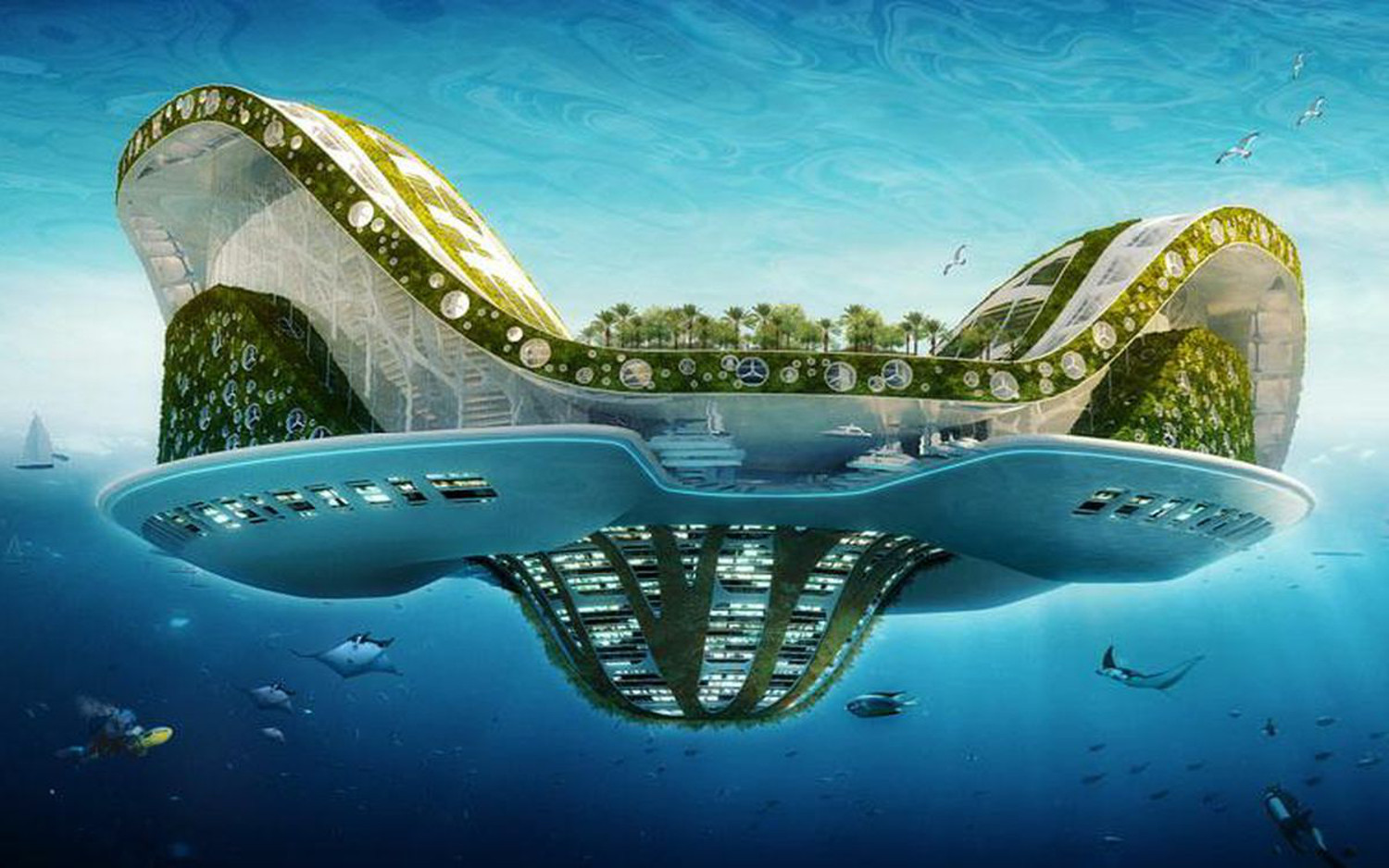Parabolic Paradise
