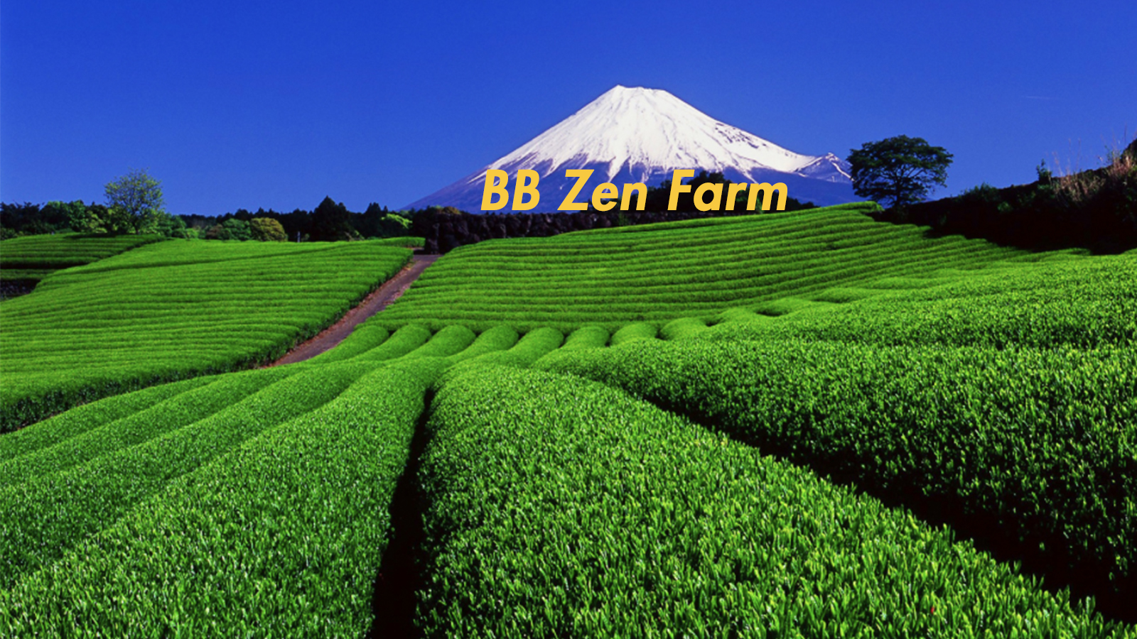 BB ZEN Farm Kyoto