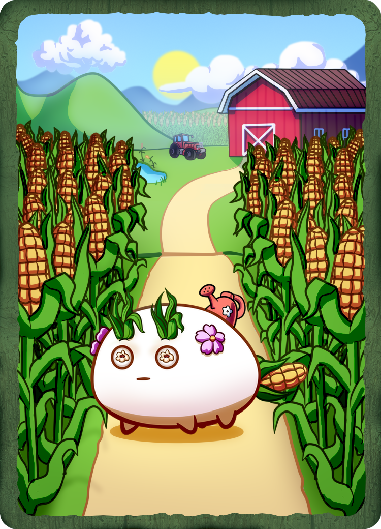 CORNINFINITY